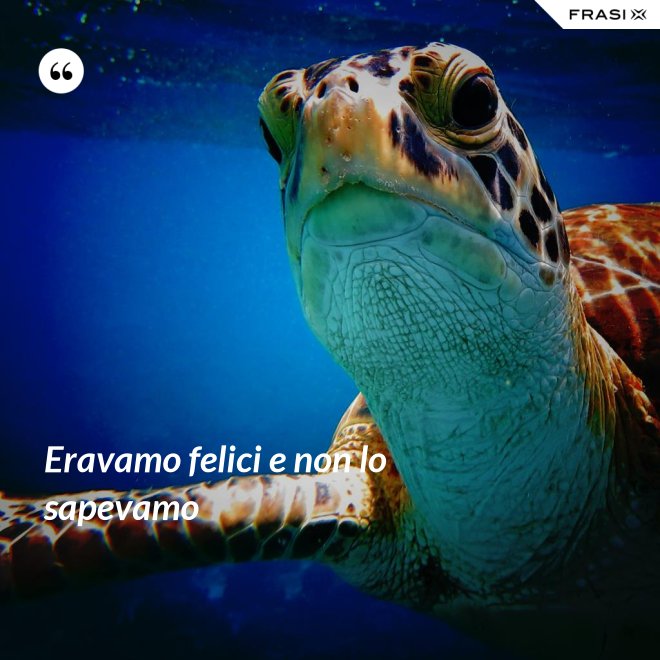 Eravamo felici e non lo sapevamo - Anonimo