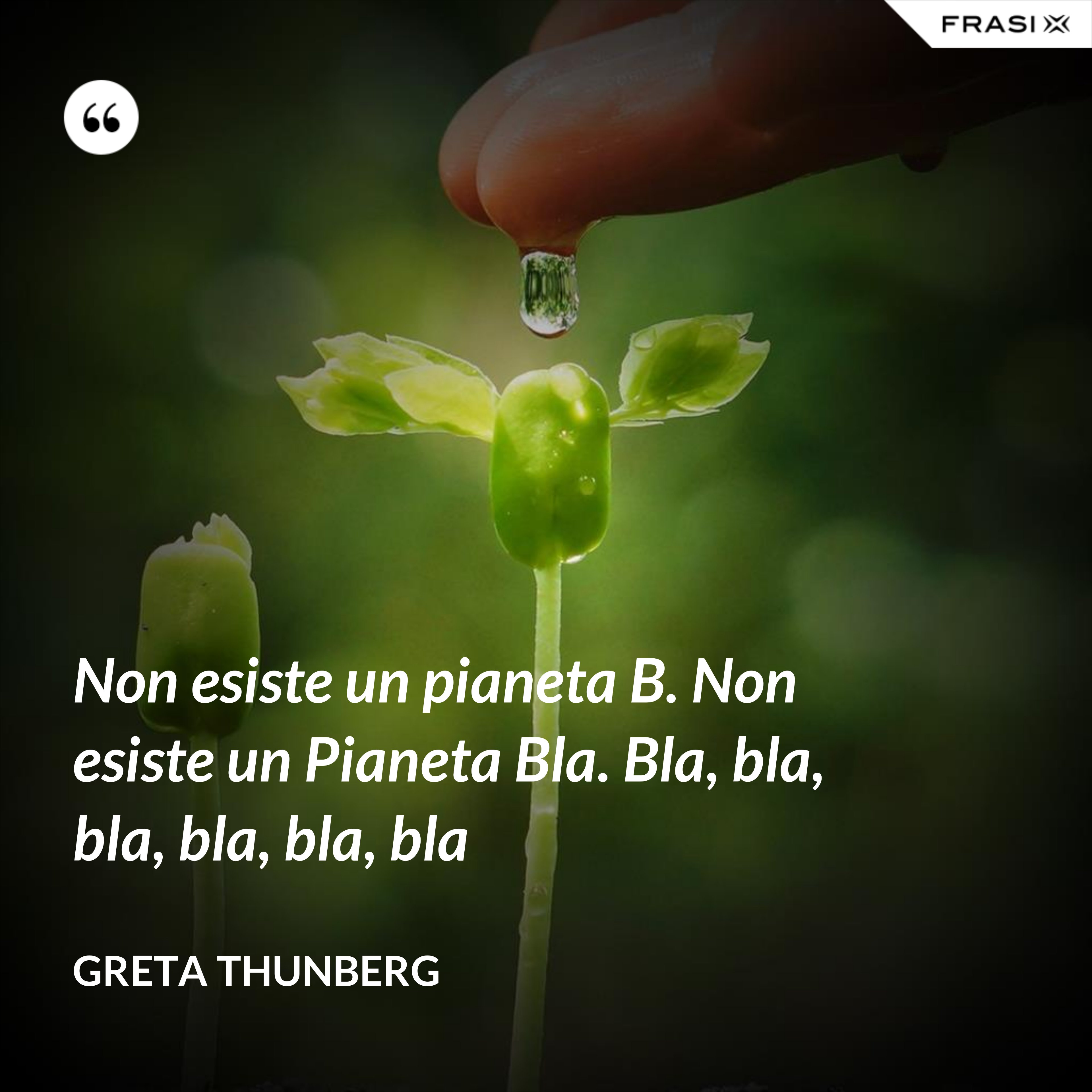 Non esiste un pianeta B. Non esiste un Pianeta Bla. Bla, bla, bla, bla, bla, bla - Greta Thunberg