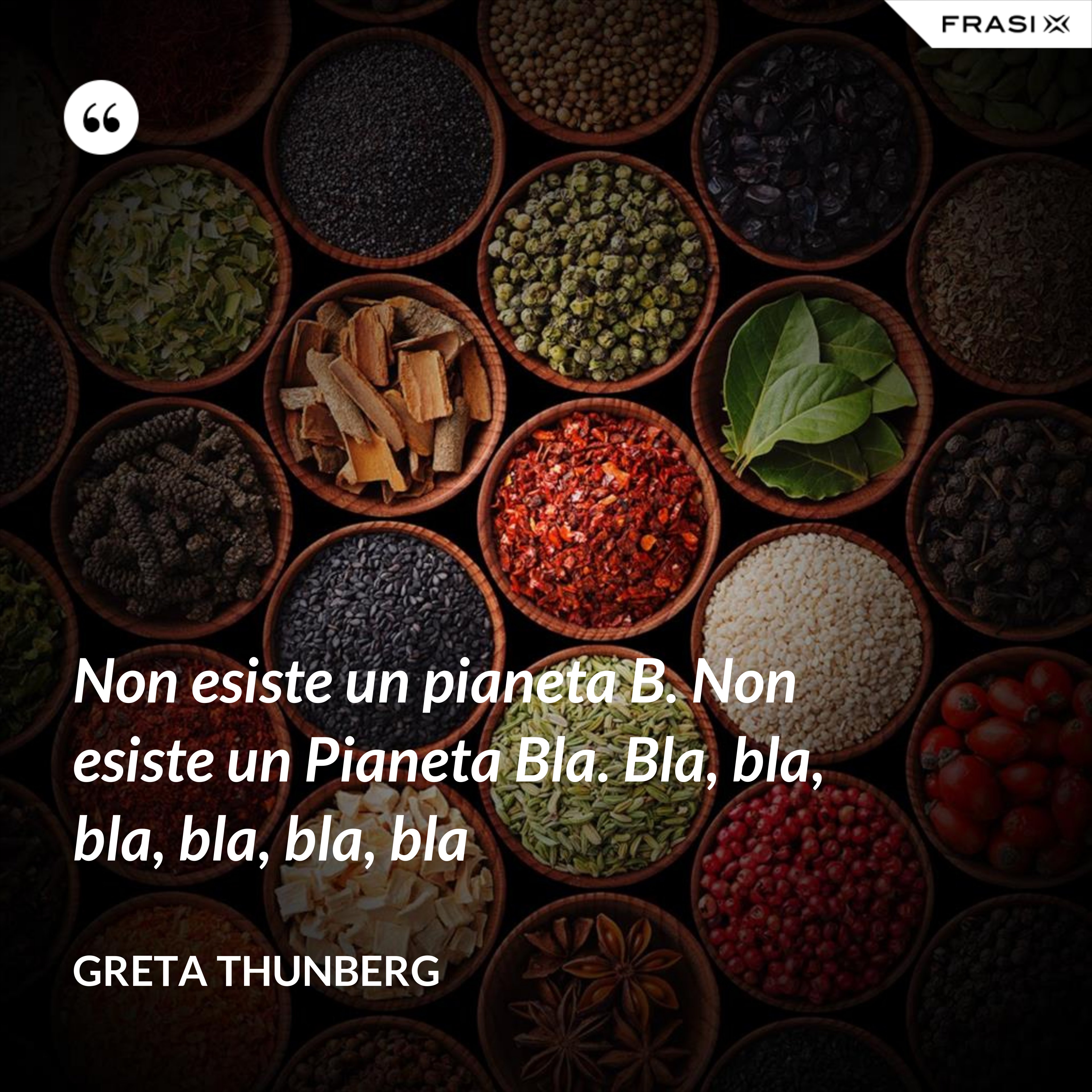 Non esiste un pianeta B. Non esiste un Pianeta Bla. Bla, bla, bla, bla, bla, bla - Greta Thunberg