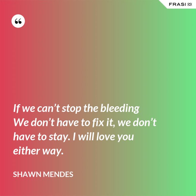 If we can’t stop the bleeding We don’t have to fix it, we don’t have to stay. I will love you either way. - Shawn Mendes
