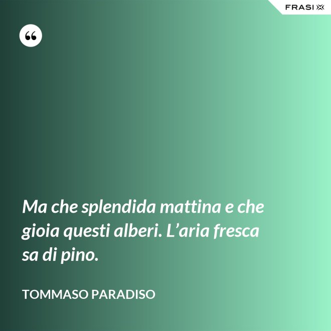 Ma che splendida mattina e che gioia questi alberi. L’aria fresca sa di pino. - Tommaso Paradiso