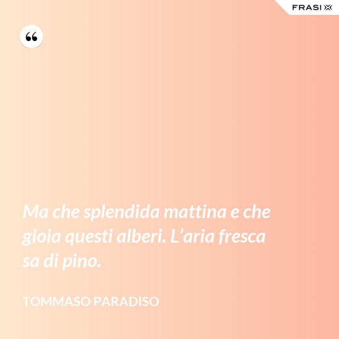 Ma che splendida mattina e che gioia questi alberi. L’aria fresca sa di pino. - Tommaso Paradiso