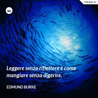 Leggere senza riflettere è come mangiare senza digerire. - Edmund Burke