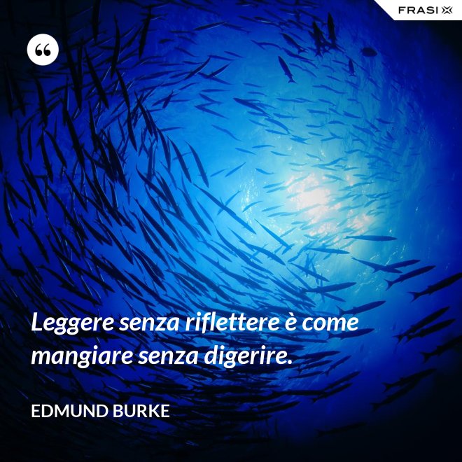 Leggere senza riflettere è come mangiare senza digerire. - Edmund Burke