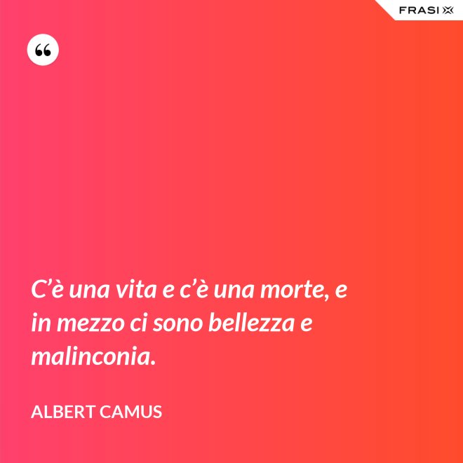 C’è una vita e c’è una morte, e in mezzo ci sono bellezza e malinconia. - Albert Camus