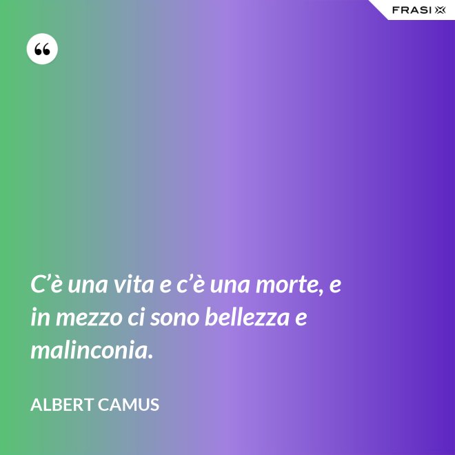 C’è una vita e c’è una morte, e in mezzo ci sono bellezza e malinconia. - Albert Camus