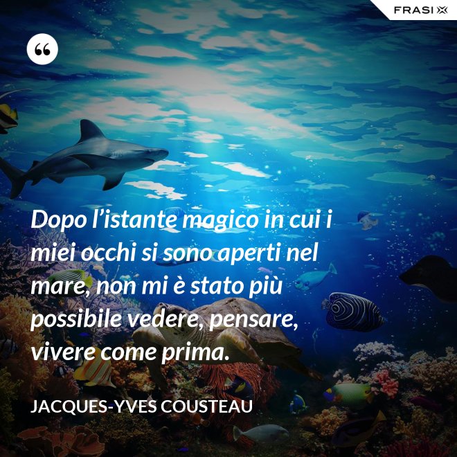 Dopo l’istante magico in cui i miei occhi si sono aperti nel mare, non mi è stato più possibile vedere, pensare, vivere come prima. - Jacques-Yves Cousteau