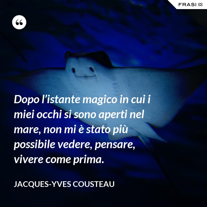 Dopo l’istante magico in cui i miei occhi si sono aperti nel mare, non mi è stato più possibile vedere, pensare, vivere come prima. - Jacques-Yves Cousteau