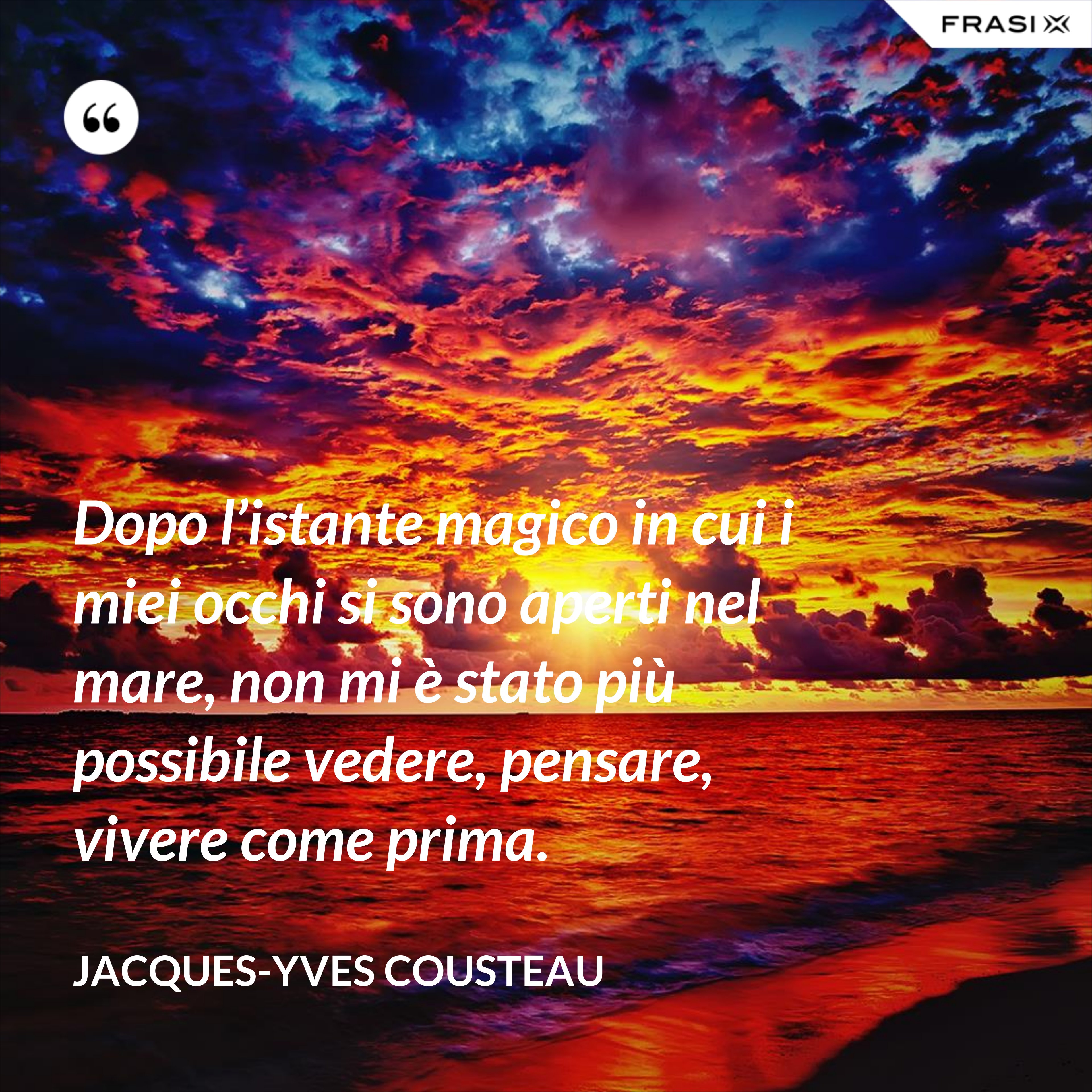 Dopo l’istante magico in cui i miei occhi si sono aperti nel mare, non mi è stato più possibile vedere, pensare, vivere come prima. - Jacques-Yves Cousteau