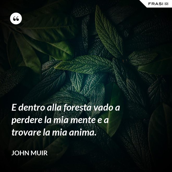 E dentro alla foresta vado a perdere la mia mente e a trovare la mia anima. - John Muir