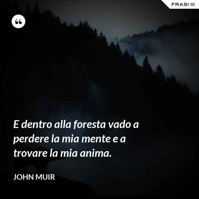 E dentro alla foresta vado a perdere la mia mente e a trovare la mia anima. - John Muir