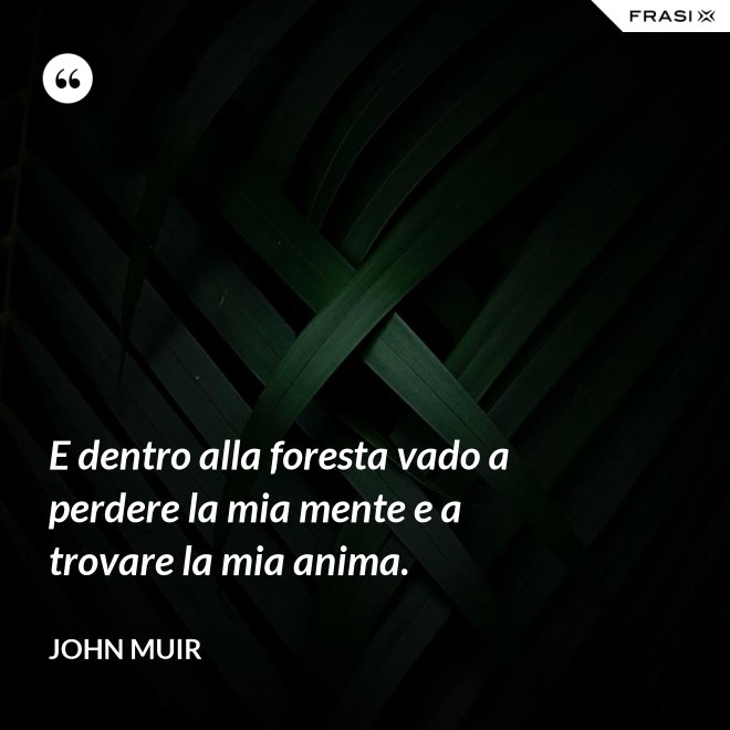 E dentro alla foresta vado a perdere la mia mente e a trovare la mia anima. - John Muir