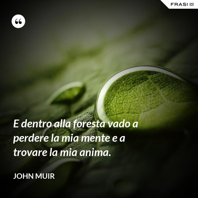 E dentro alla foresta vado a perdere la mia mente e a trovare la mia anima. - John Muir