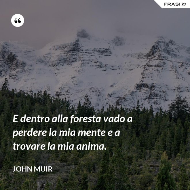 E dentro alla foresta vado a perdere la mia mente e a trovare la mia anima. - John Muir