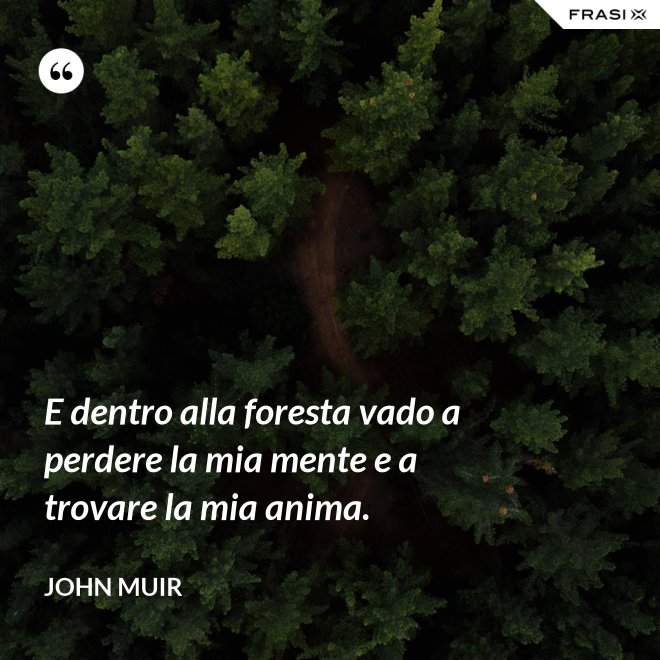 E dentro alla foresta vado a perdere la mia mente e a trovare la mia anima. - John Muir