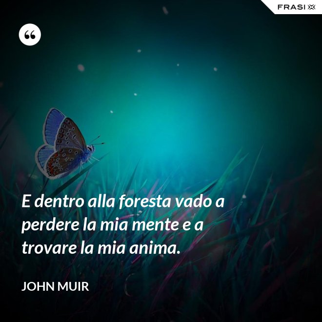 E dentro alla foresta vado a perdere la mia mente e a trovare la mia anima. - John Muir