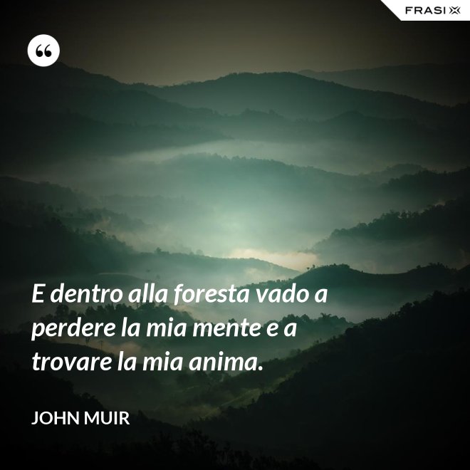 E dentro alla foresta vado a perdere la mia mente e a trovare la mia anima. - John Muir