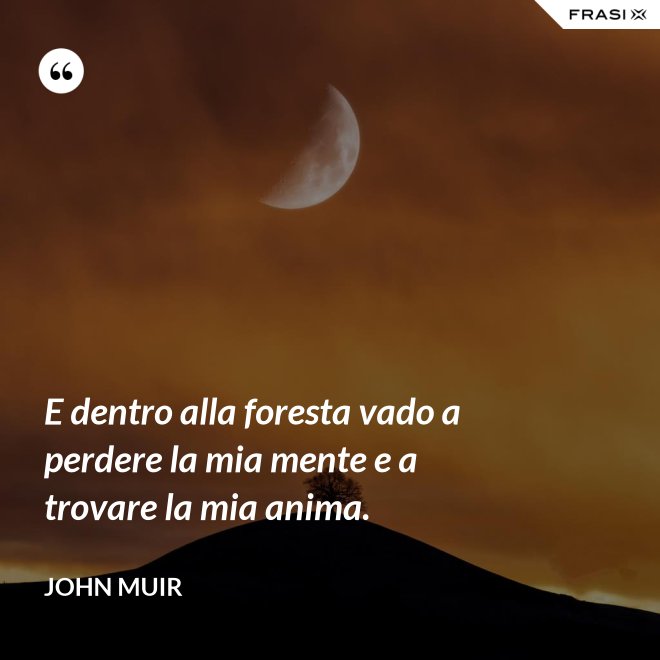 E dentro alla foresta vado a perdere la mia mente e a trovare la mia anima. - John Muir
