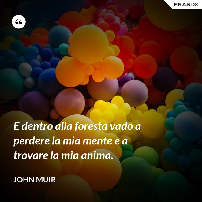E dentro alla foresta vado a perdere la mia mente e a trovare la mia anima. - John Muir