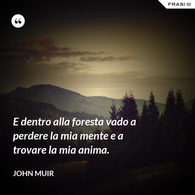 E dentro alla foresta vado a perdere la mia mente e a trovare la mia anima. - John Muir