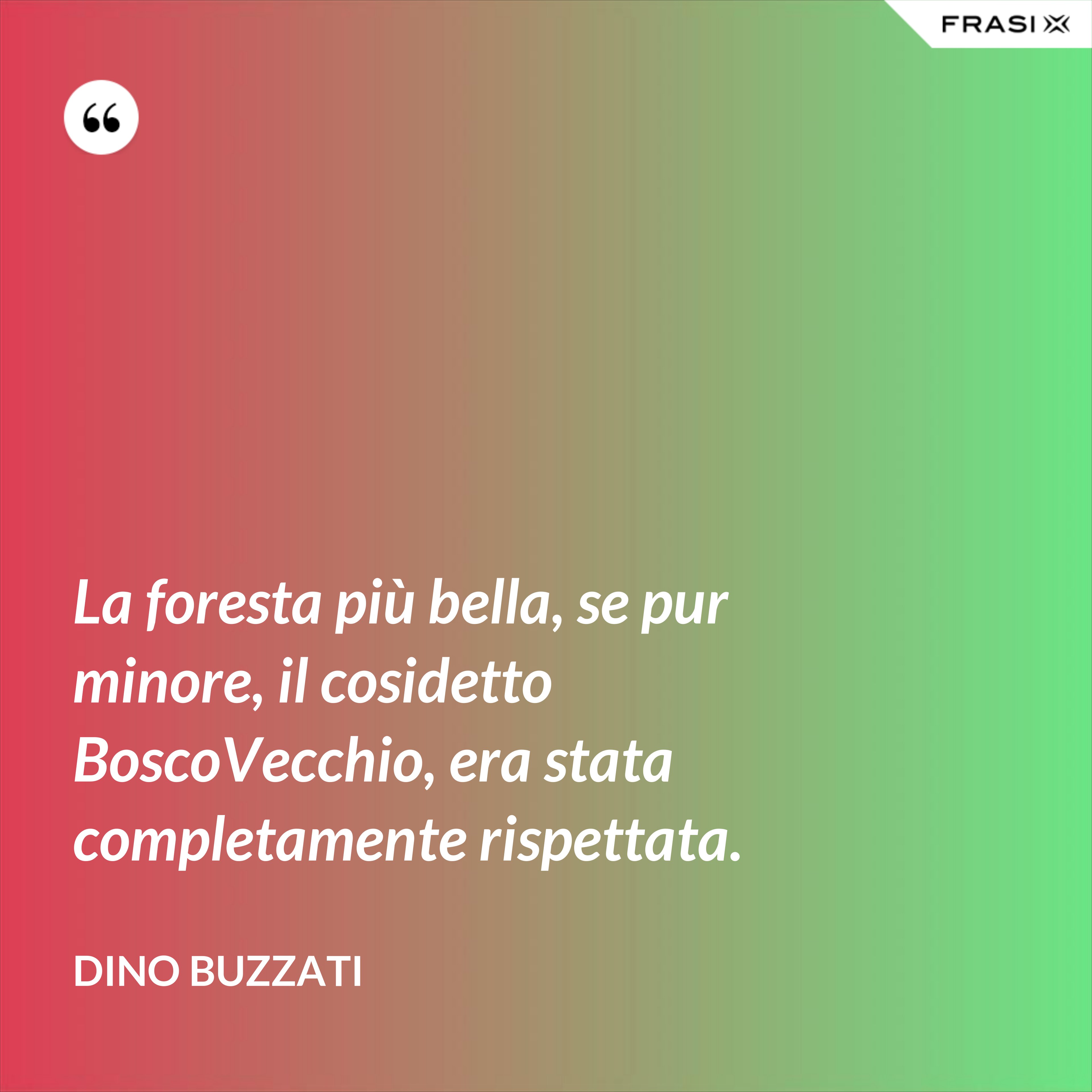 La foresta più bella, se pur minore, il cosidetto BoscoVecchio, era stata completamente rispettata. - Dino Buzzati
