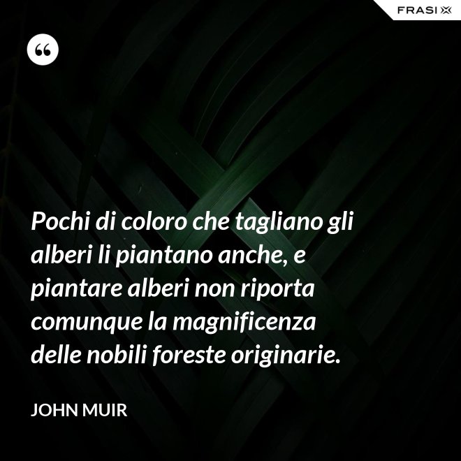 Pochi di coloro che tagliano gli alberi li piantano anche, e piantare alberi non riporta comunque la magnificenza delle nobili foreste originarie. - John Muir