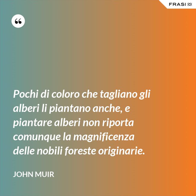 Pochi di coloro che tagliano gli alberi li piantano anche, e piantare alberi non riporta comunque la magnificenza delle nobili foreste originarie. - John Muir