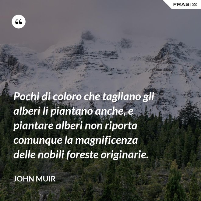 Pochi di coloro che tagliano gli alberi li piantano anche, e piantare alberi non riporta comunque la magnificenza delle nobili foreste originarie. - John Muir