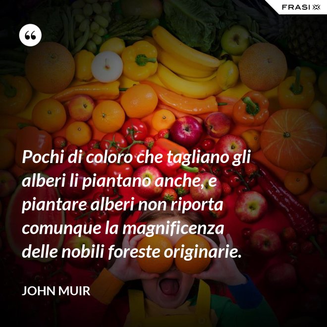Pochi di coloro che tagliano gli alberi li piantano anche, e piantare alberi non riporta comunque la magnificenza delle nobili foreste originarie. - John Muir