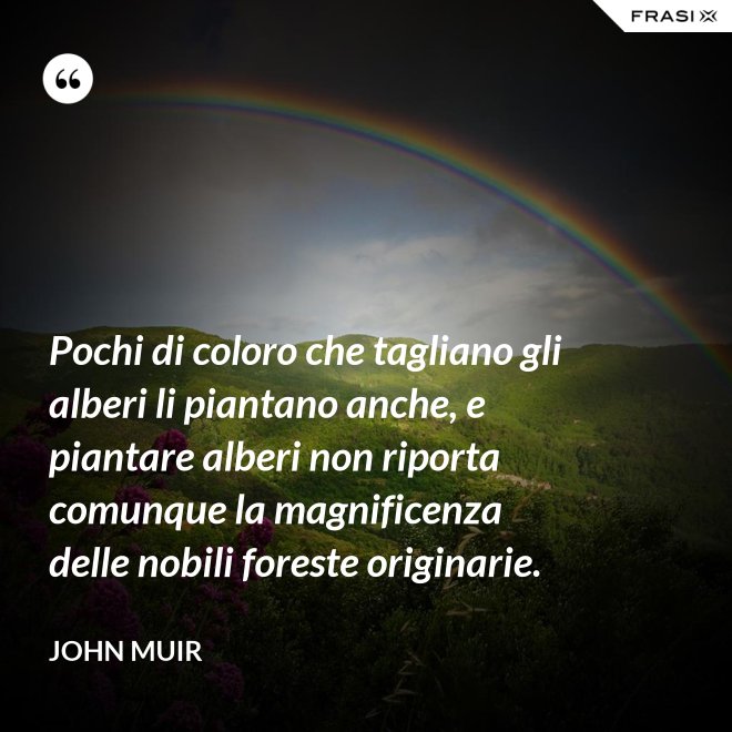 Pochi di coloro che tagliano gli alberi li piantano anche, e piantare alberi non riporta comunque la magnificenza delle nobili foreste originarie. - John Muir