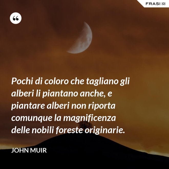 Pochi di coloro che tagliano gli alberi li piantano anche, e piantare alberi non riporta comunque la magnificenza delle nobili foreste originarie. - John Muir