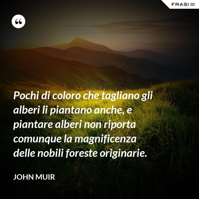 Pochi di coloro che tagliano gli alberi li piantano anche, e piantare alberi non riporta comunque la magnificenza delle nobili foreste originarie. - John Muir