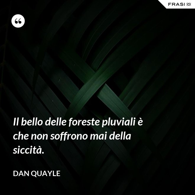 Il bello delle foreste pluviali è che non soffrono mai della siccità. - Dan Quayle
