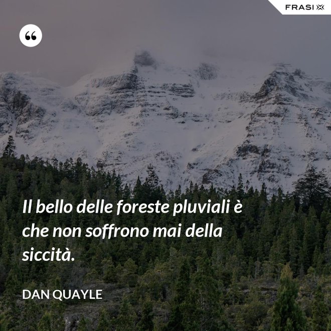 Il bello delle foreste pluviali è che non soffrono mai della siccità. - Dan Quayle