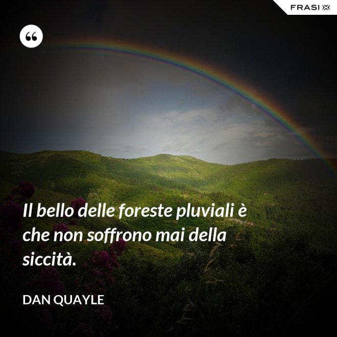 Il bello delle foreste pluviali è che non soffrono mai della siccità. - Dan Quayle