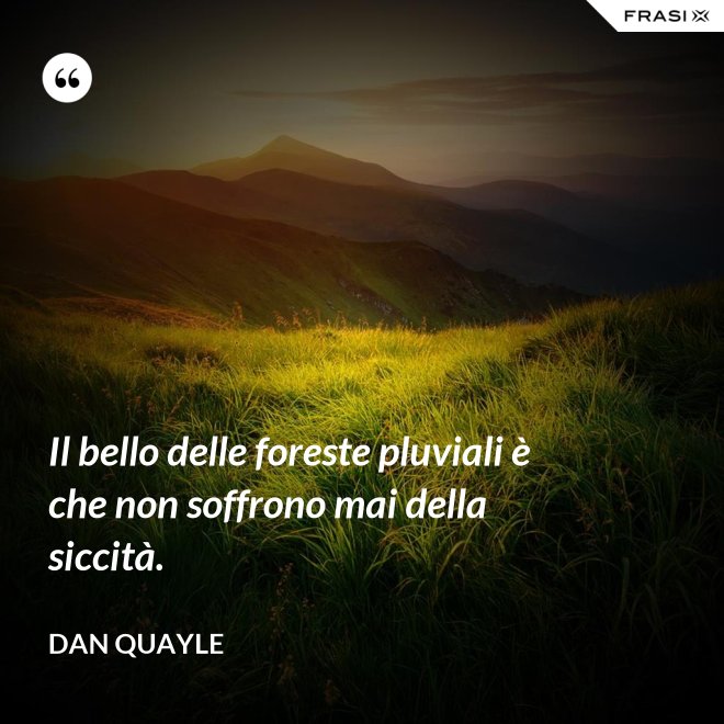 Il bello delle foreste pluviali è che non soffrono mai della siccità. - Dan Quayle