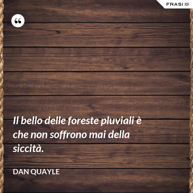 Il bello delle foreste pluviali è che non soffrono mai della siccità. - Dan Quayle