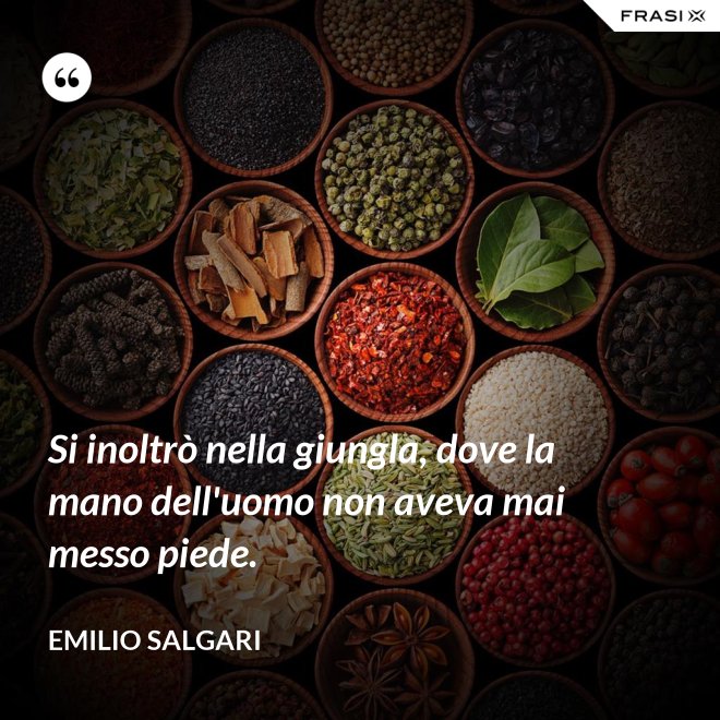 Si inoltrò nella giungla, dove la mano dell'uomo non aveva mai messo piede. - Emilio Salgari