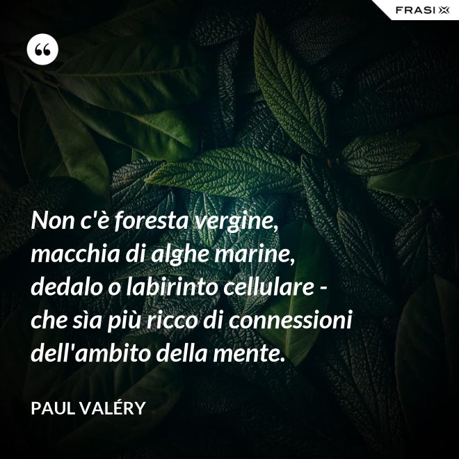 Non c'è foresta vergine, macchia di alghe marine, dedalo o labirinto cellulare - che sìa più ricco di connessioni dell'ambito della mente. - Paul Valéry