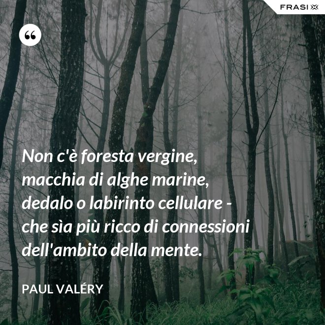 Non c'è foresta vergine, macchia di alghe marine, dedalo o labirinto cellulare - che sìa più ricco di connessioni dell'ambito della mente. - Paul Valéry