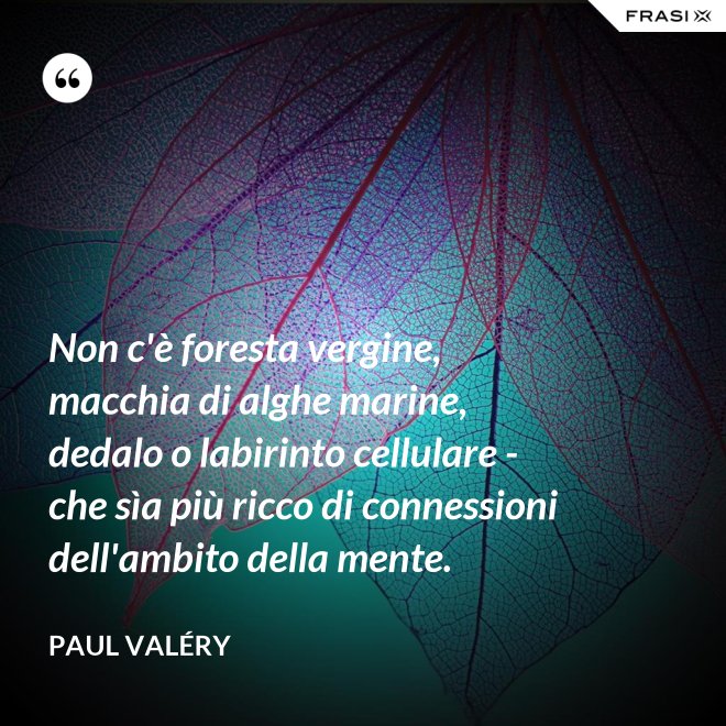 Non c'è foresta vergine, macchia di alghe marine, dedalo o labirinto cellulare - che sìa più ricco di connessioni dell'ambito della mente. - Paul Valéry