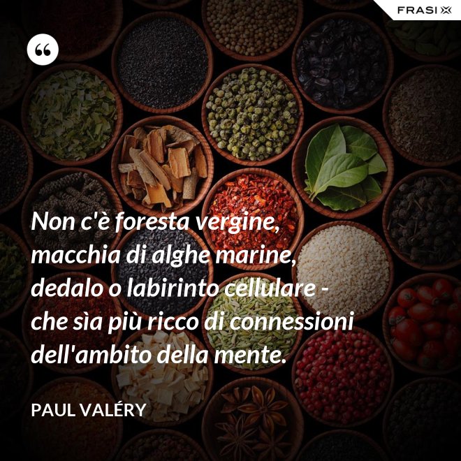 Non c'è foresta vergine, macchia di alghe marine, dedalo o labirinto cellulare - che sìa più ricco di connessioni dell'ambito della mente. - Paul Valéry