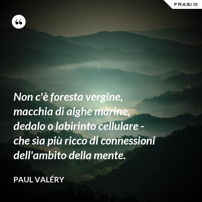 Non c'è foresta vergine, macchia di alghe marine, dedalo o labirinto cellulare - che sìa più ricco di connessioni dell'ambito della mente. - Paul Valéry