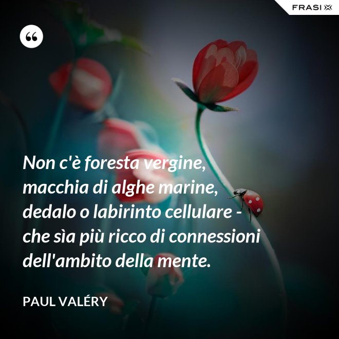 Non c'è foresta vergine, macchia di alghe marine, dedalo o labirinto cellulare - che sìa più ricco di connessioni dell'ambito della mente. - Paul Valéry