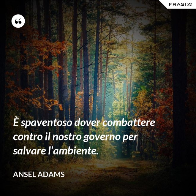 È spaventoso dover combattere contro il nostro governo per salvare l’ambiente. - Ansel Adams