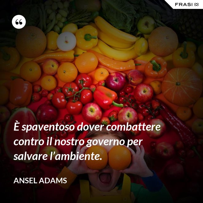 È spaventoso dover combattere contro il nostro governo per salvare l’ambiente. - Ansel Adams