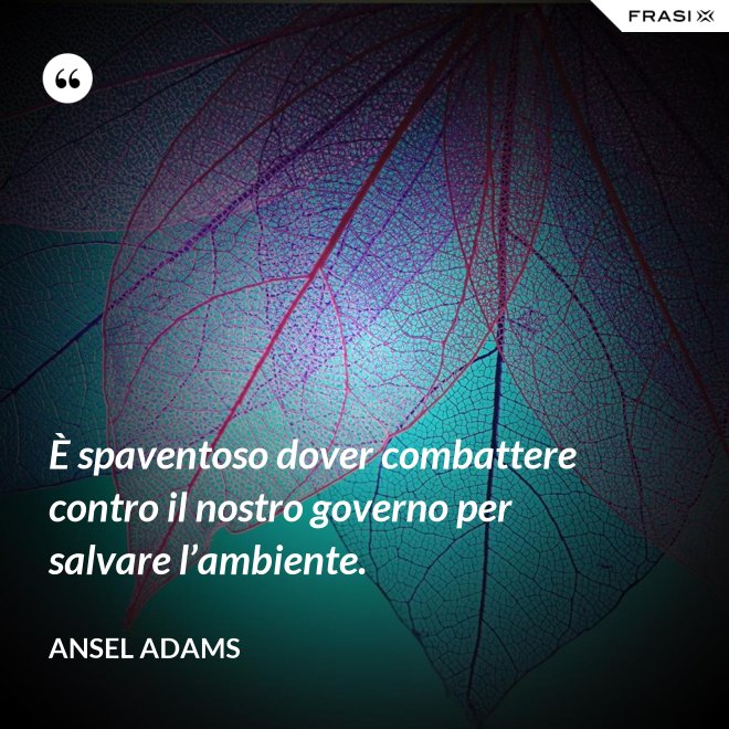 È spaventoso dover combattere contro il nostro governo per salvare l’ambiente. - Ansel Adams