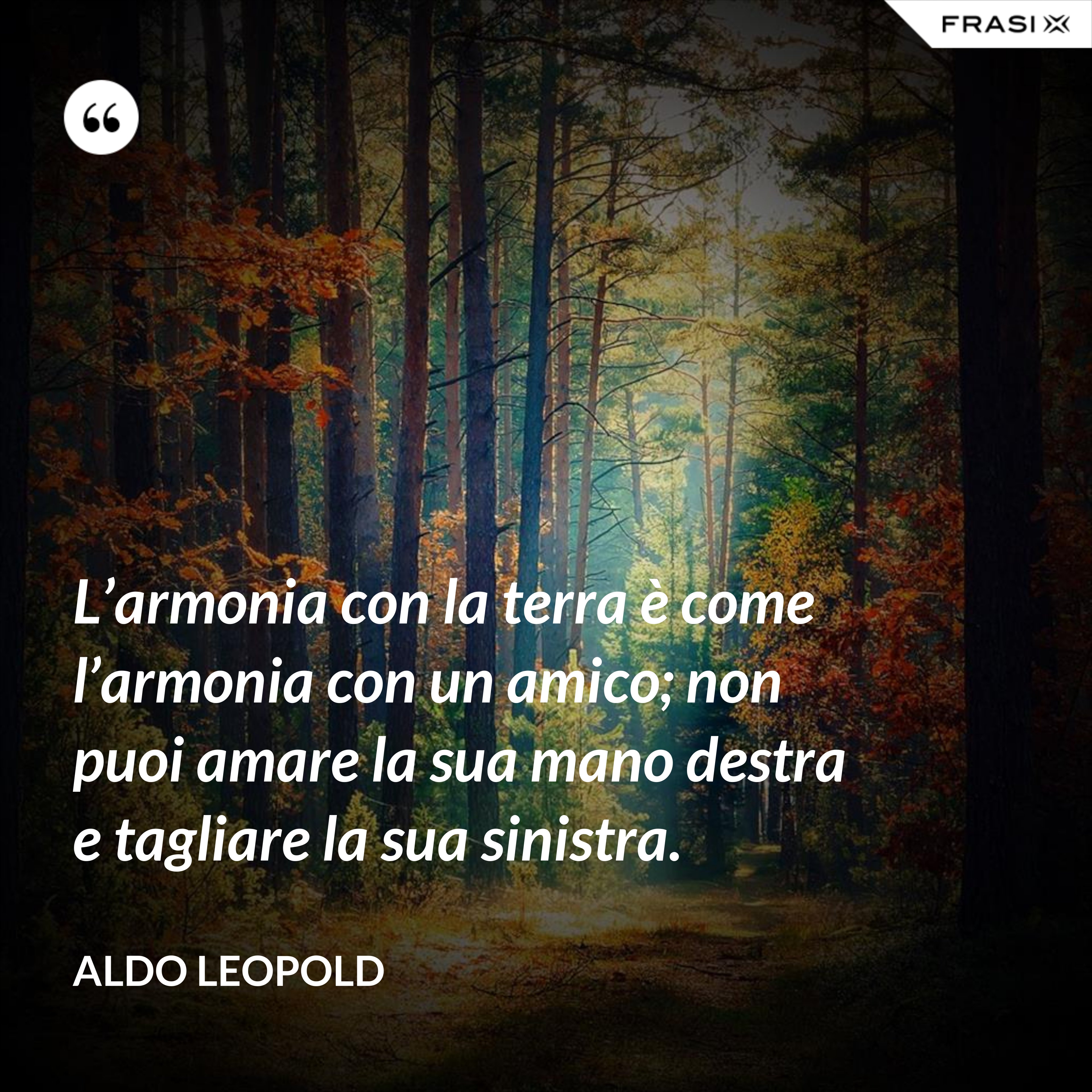 L’armonia con la terra è come l’armonia con un amico; non puoi amare la sua mano destra e tagliare la sua sinistra. - Aldo Leopold