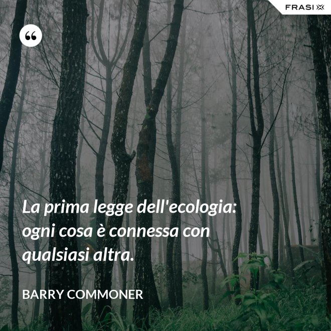 La prima legge dell'ecologia: ogni cosa è connessa con qualsiasi altra. - Barry Commoner