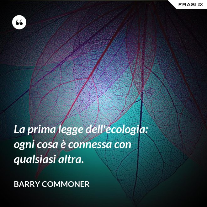 La prima legge dell'ecologia: ogni cosa è connessa con qualsiasi altra. - Barry Commoner